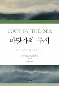 바닷가의 루시 : 엘리자베스 스트라우트 장편소설